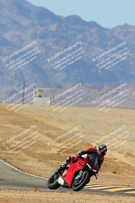 media/Feb-02-2025-Race Pace (Sun) [[84aa3aff12]]/1-Verified/4-Turn 10 Tip In (1025am)/